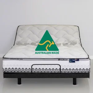 Adjustable Bed Mobility Bed