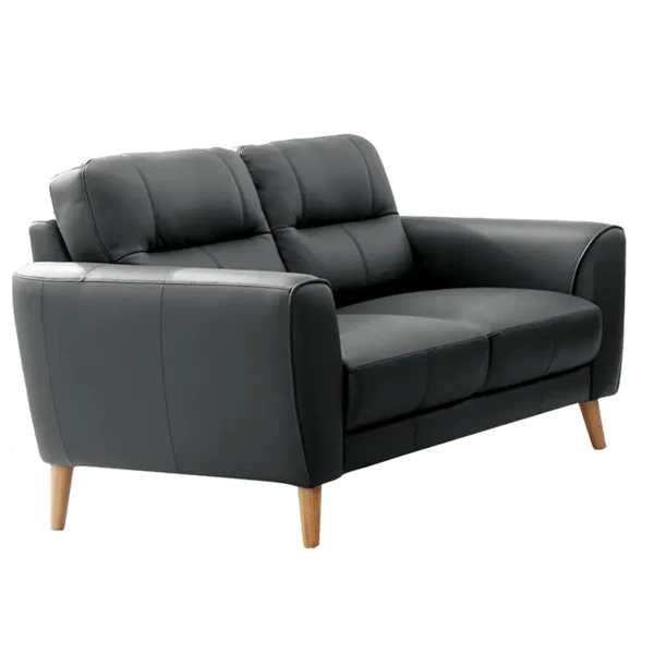 Sonora 2 seater Leather Sofa