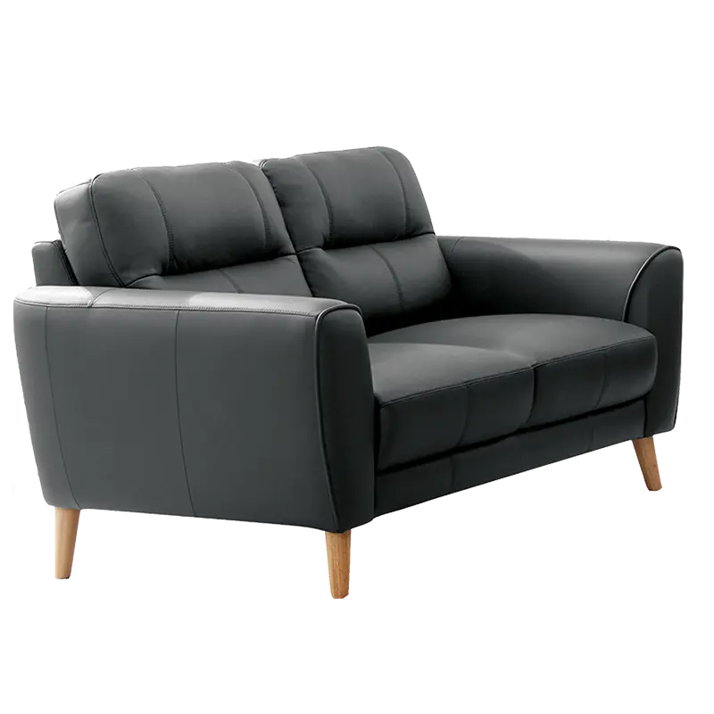 Sonora 2 seater Leather Sofa